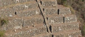 Choquequirao Trek