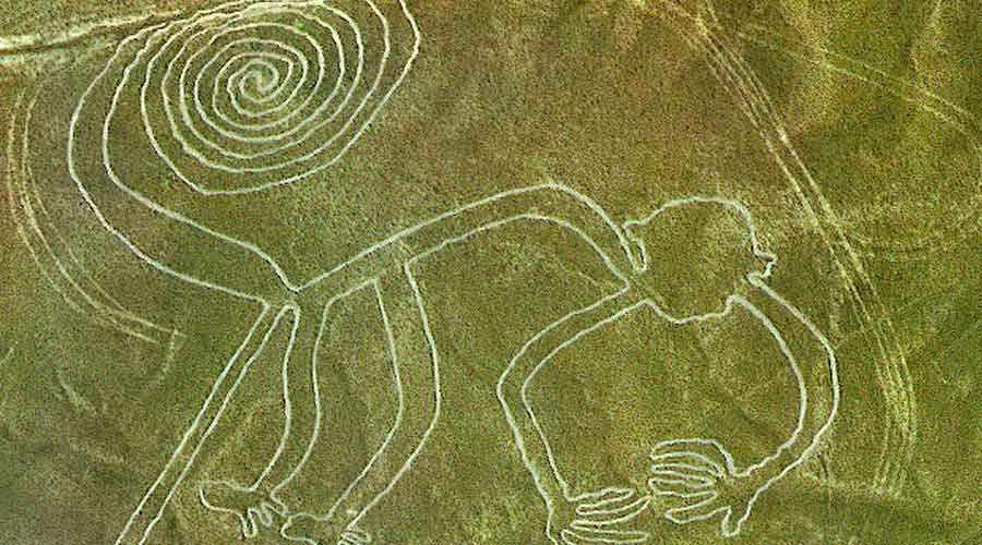 Nazca Tour