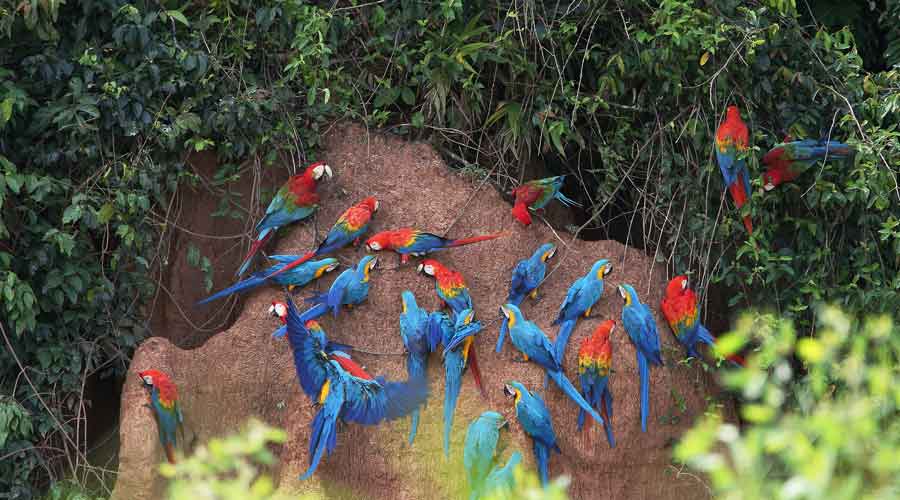 Peru tours